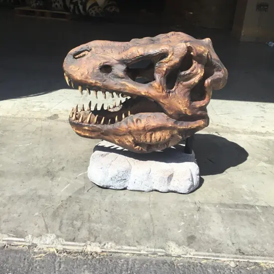 T-Rex Dinosaur Skull Head Life Size Statue {3}