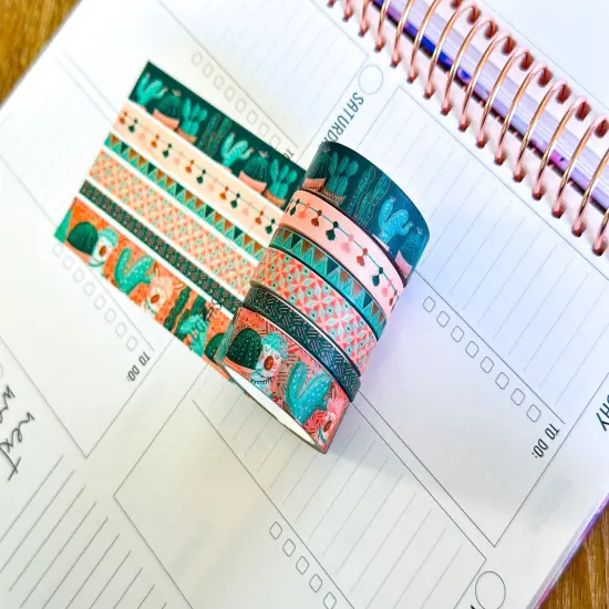 Llamas Green Mint Pink Boho Washi Tape Set March 2025 - W128 {6}