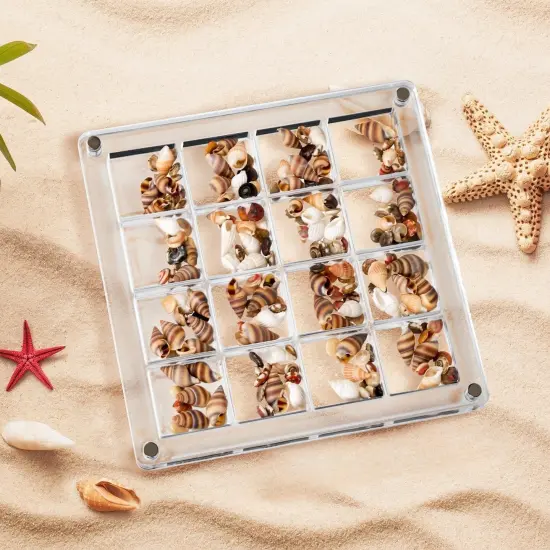 Artlunar 16 Grids Square Clear Acrylic Shadow Boxes Mini Seashell Collection Display Box Shell Display Cases {2}