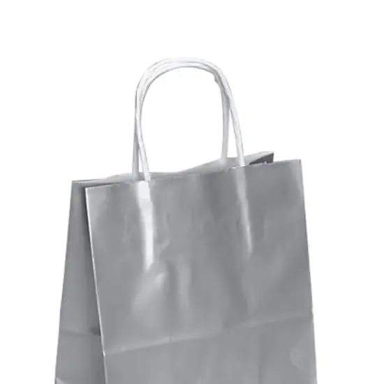 Glossy Paper Bags 8'' x 4 3/4'' x 10 1/4'' for Gifting Platinum {6}