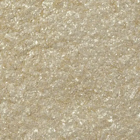 Bakell - Champagne Gold Tinker Dust Edible Glitter (25g, 1x Spray Pump) for Food, Desserts, and Beverages! {6}