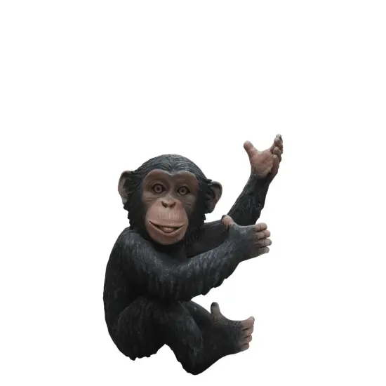 Monkey Chimpanzee Congo Life Size Statue {1}
