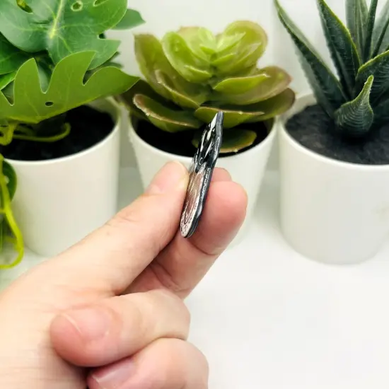 1, 4 or 20 Pieces: Black and White Snake Ouija Planchette Charms - Double Sided {3}