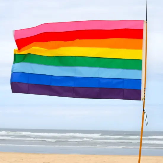 In the Breeze 3 Foot by 5 Foot Historic Pride Flag - Rainbow Grommet Flag with Sewn Stripes {2}
