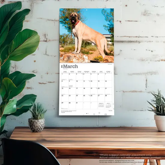 Mastiffs | 2026 12 x 24 Inch (Hanging) Monthly Square Wall Calendar | Plastic-Free {5}
