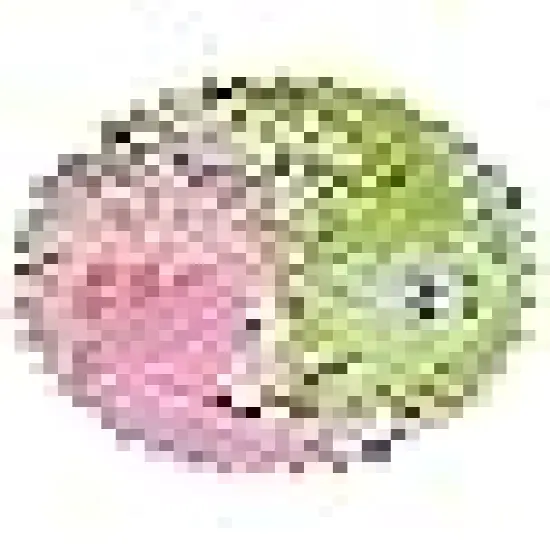 Precut Quilt Cotton Fabric Squares for Quilting Clearance {1}