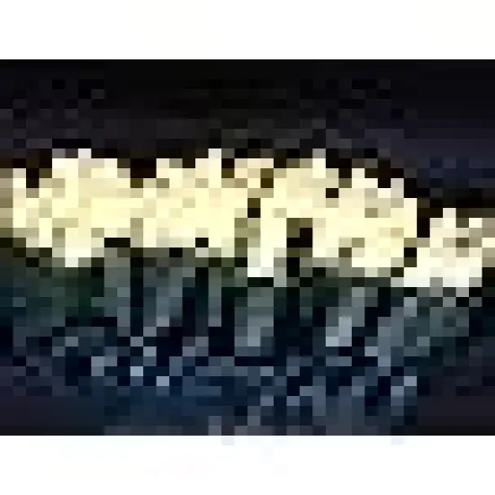 Count Warm White LED Christmas String Lights {2}