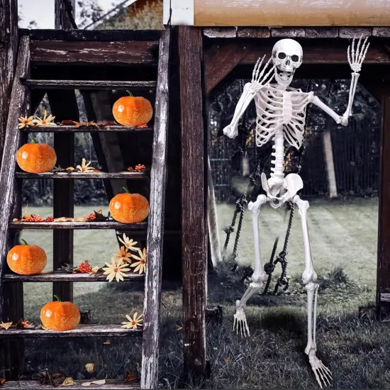 Skeleton Full Body Human Skeleton for Halloween Decorations {5}