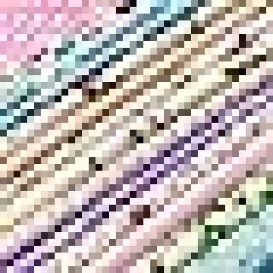 Cotton Precut Quilt Sewing Floral Fabrics for Craft DIY {6}