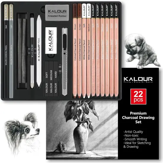 22pcs Charcoal Drawing Set, Professional Art Supplies, Black & White Charcoal {1}
