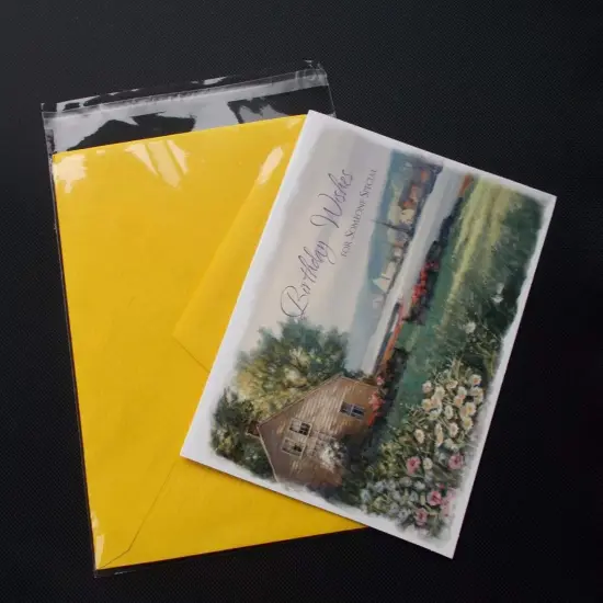 Self-Sealing Bags with Lip & Tape 1.2 Mil 4 1/4'' x 5 1/8'' {4}