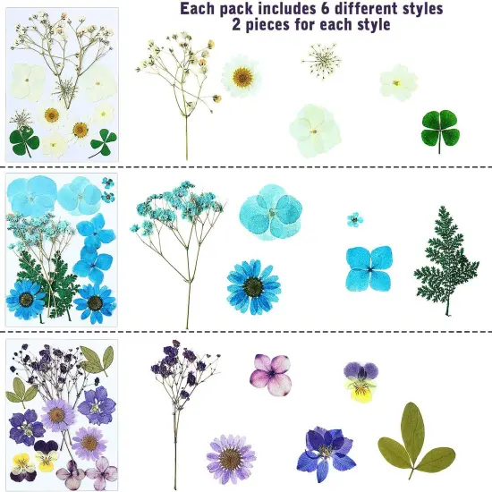 72 Pcs Dried Pressed Flowers for Resin Molds {3}