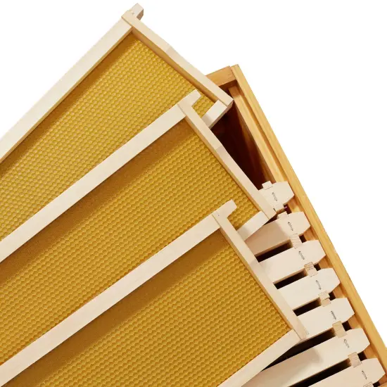 Honey Keeper Brood Box with Window, 100% Beeswax Coated Beehive Kit with 10 Wooden Frames and Waxed Foundations for Langstroth Beekeeping {4}