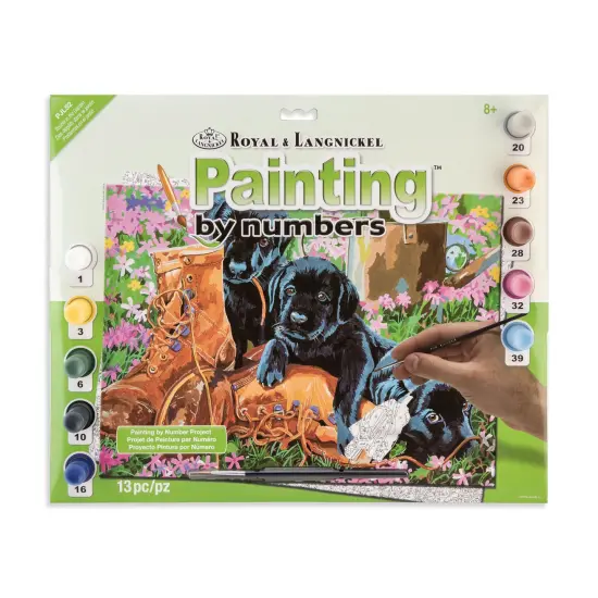 PJL52 | Painting by numbers&trade; 13pc 11.25" x 15.375" Trouble In The Garden Painting Project {1}