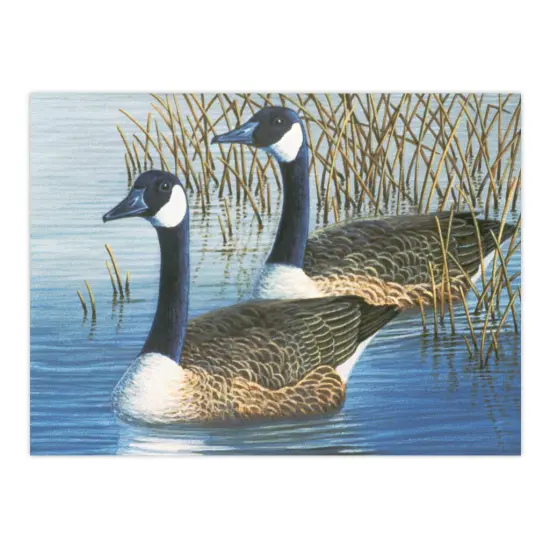 PAL35 | Painting by numbers&trade; 13pc 11.25" x 13.375" Geese Painting Project {2}