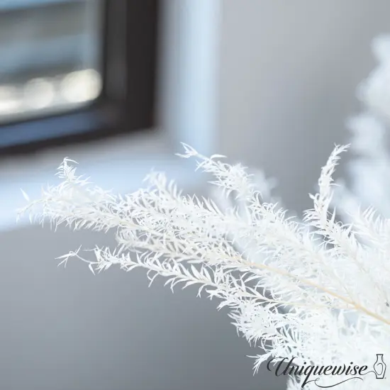 Uniquewise Preserved Real Floral Stems Chic Vase Fillers & Accents for Bouquets Centerpieces & Ornamental Displays Ideal for Home Office Boutique Cafe Resto Bar and Event Decor White m. bracteata {4}