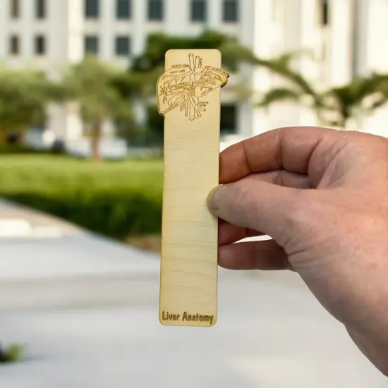 Bookmark - Liver Anatomy - Birch wood {4}