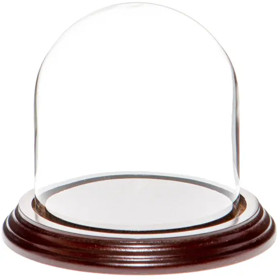 Plymor 4" x 4" Glass Display Dome Cloche Dark Mahogany Veneer {1}