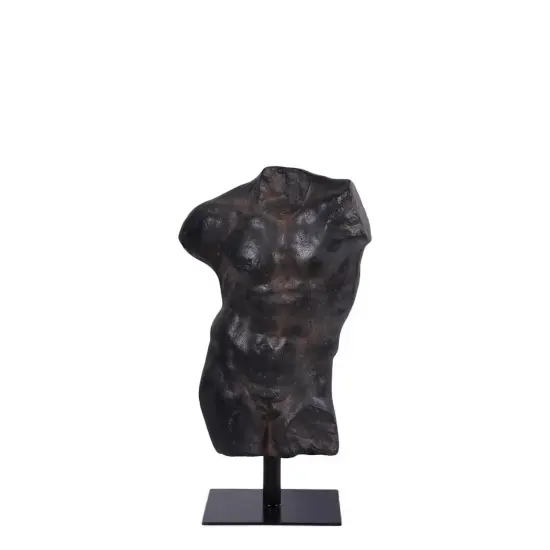 Aged Black Finish Andrea Male Torso Life Size Statue {1}