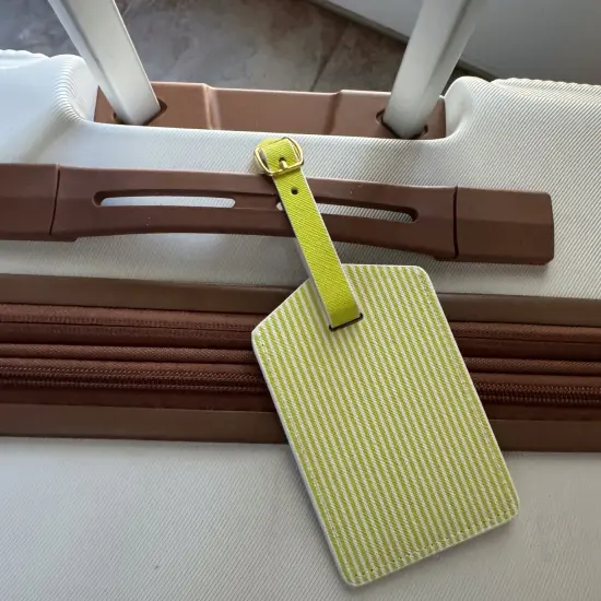 Citrus Lime Stripe Luggage Tag Set | Vegan Leather Travel Accessory | 2-Pack {6}