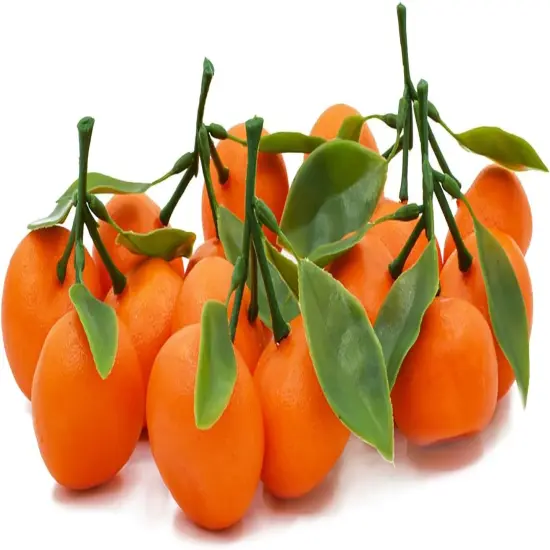 Artificial Orange (15Pcs) {2}