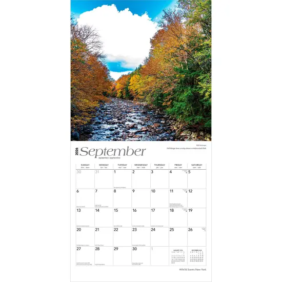 New York Wild & Scenic | 2026 12 x 24 Inch (Hanging) Monthly Square Wall Calendar | Plastic-Free {4}