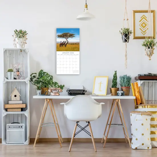 The Gifted Stationary 2026 Square Wall Calendar, Safari, 16-Month Natural World Theme Hanging Calendar with 180 Reminder Stickers, Month Planner for Home, or Creative Spaces, 12x12 In Multicolor {2}