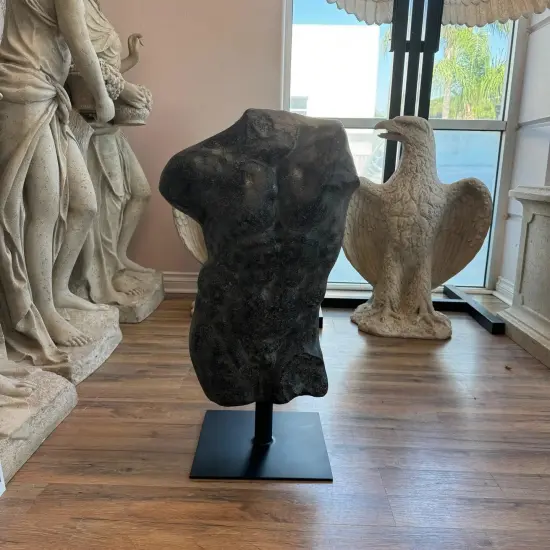 Aged Black Finish Andrea Male Torso Life Size Statue {5}