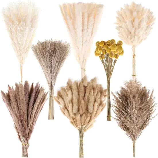 400 PCS Dried Pampas Grass Decor {1}