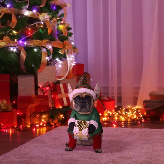 Santa's Little Yelper Dog Costume {5}
