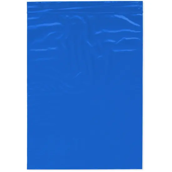 Plymor 9" x 12", Blue 2 Mil Zipper Reclosable Plastic Bags {1}