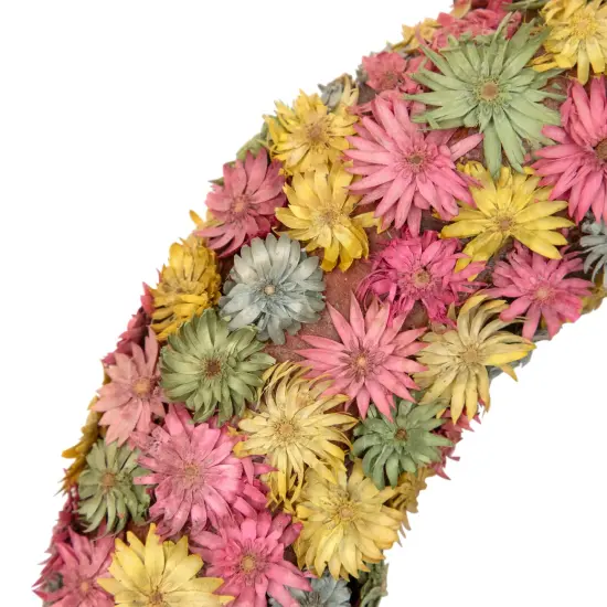Northlight Multi-Colored Daisy Artificial Spring Floral Wreath, 10-Inch Pink {7}
