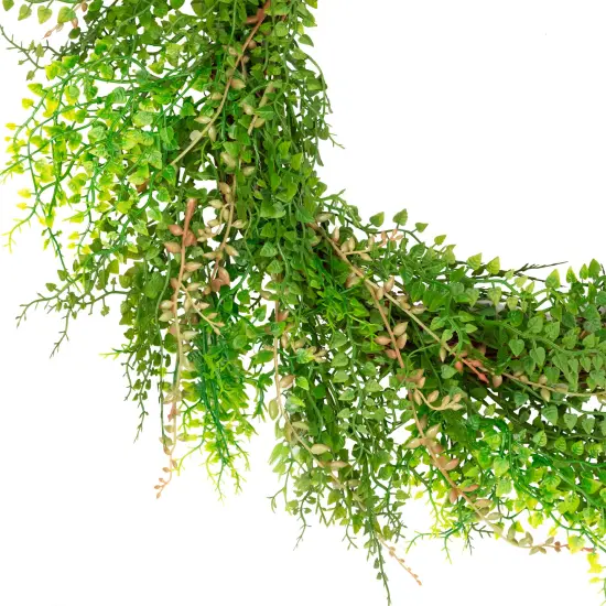 Northlight Mixed Boxwood Fern Artificial Wreath - 24" Green {5}