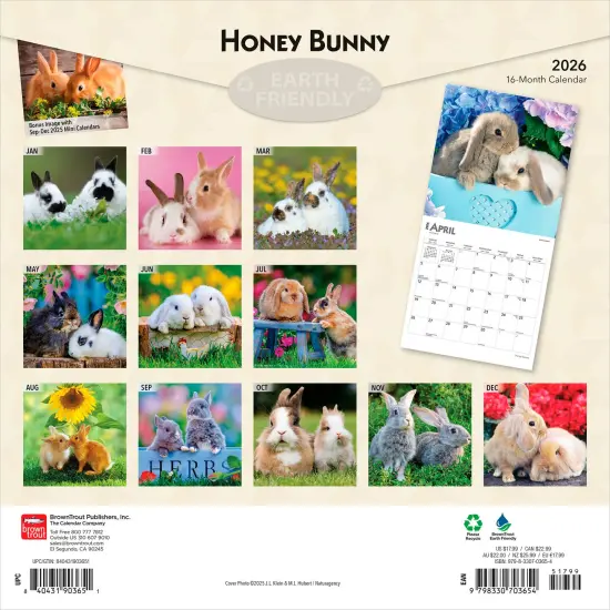 Honey Bunny | 2026 12 x 24 Inch (Hanging) Monthly Square Wall Calendar | Plastic-Free {2}