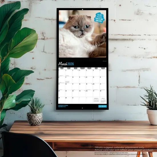 Cat Selfies | 2026 12 x 24 Inch (Hanging) Monthly Square Wall Calendar | Plastic-Free {5}