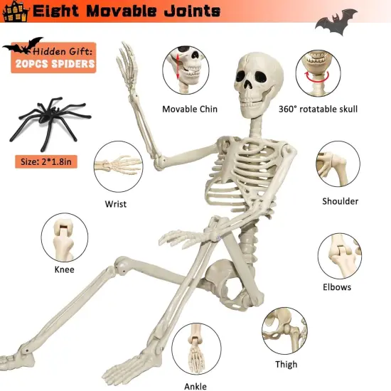 36" Skeleton Halloween Decorations, 3ft Life Size Human Skeleton with 20 Spiders {3}