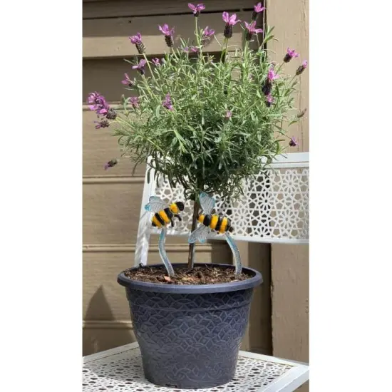 12" x 7" x 1.5" Bee Stake Frit Casting Glass Fusing Kiln Mold {3}