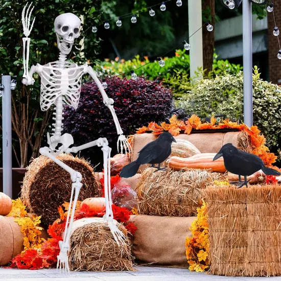 6Ft Life Size Skeleton with 2PCS Black Crows for Halloween {3}