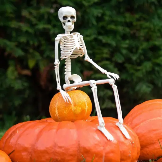 Halloween Decoration Outdoor 2 Pack Skeleton, 16" Plastic Posable Skeleton {5}