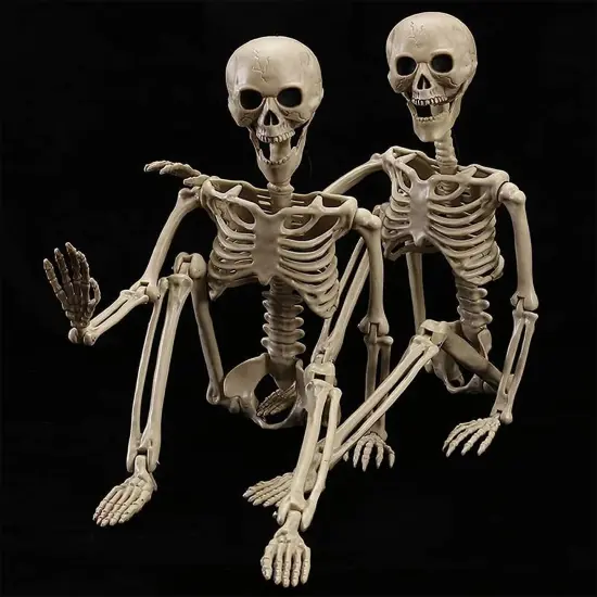 2 Pack 40 Inches Halloween Skeleton {1}