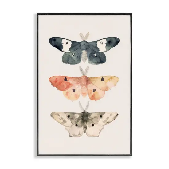 Stupell Industries Watercolor Moth Trio Framed Giclee Wall Art Design by Petal Prints Design {1}