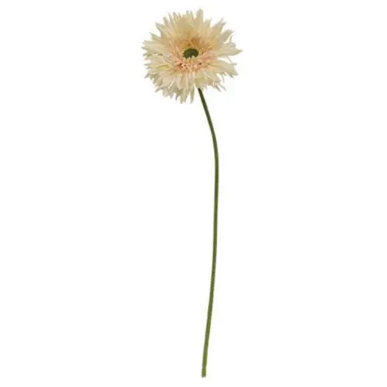 Gerbera Daisy Stem Lemon Yellow {2}