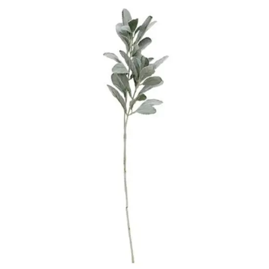 Frosted Lamb's Ear Spray {1}