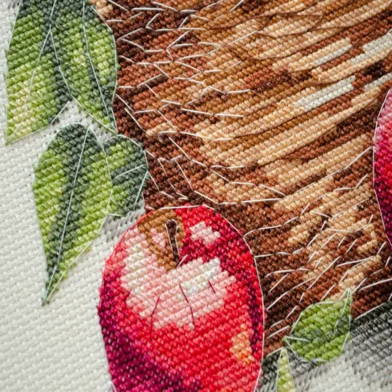 Counted Cross-stitch kit - Bulk apples {5}