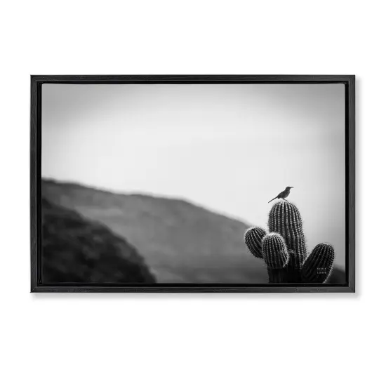 Stupell Industries On Guard Bird & Cactus Framed Floater Canvas Wall Art Design by Wild Apple {1}