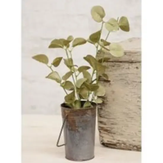 21&rdquo; Long Sage Foamy Silver Dollar Spray with Green Paper-Wrapped Stem and Branches {2}