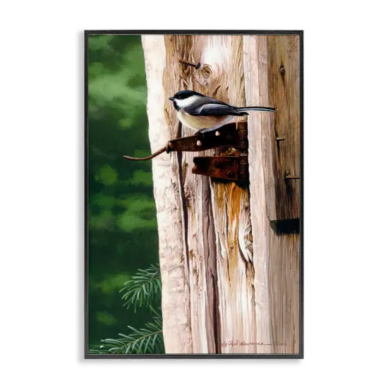 Stupell Industries Bird on Rusty Perch Framed Giclee Wall Art Design by Rod Lawrence {1}