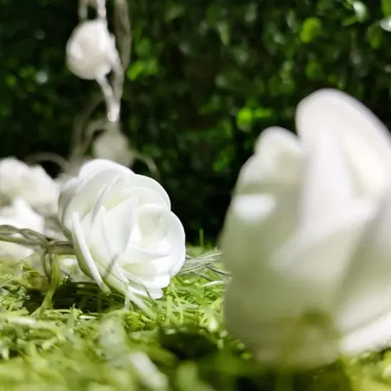 20 LED Soft White Rose String Lights Warm White Warm white {4}
