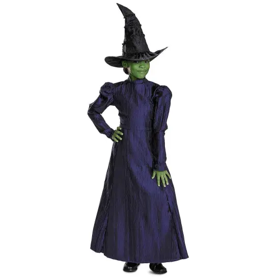 Toddler Deluxe Wicked Elphaba Costume Purple Dress Cape Hat Toddler Size Fits 3T&ndash;4T {1}