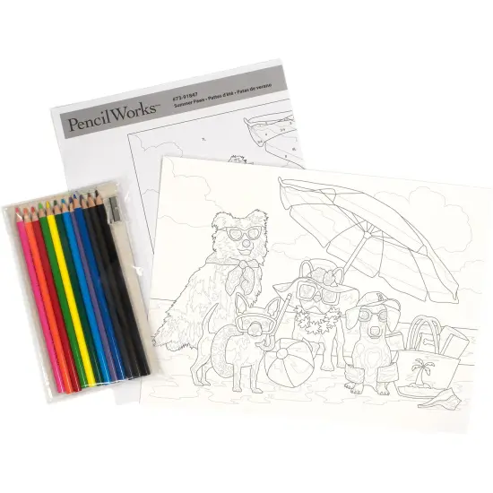 Pencil Works Color By Number Kit 12"X9"-Summer Paws {4}